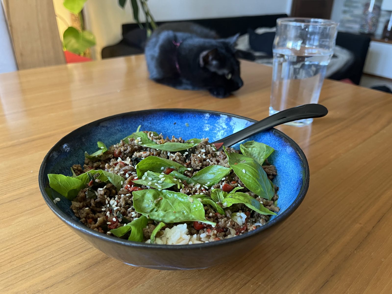 Thai basil stir fry in a blue handmade bowl, with a black cat watching from the table